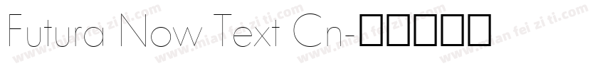 Futura Now Text Cn字体转换